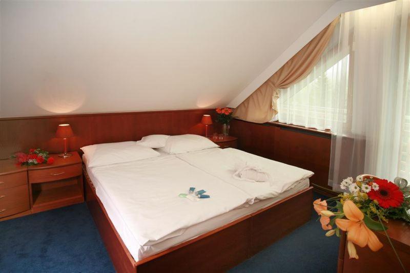 Hotel Nastup Loučná pod Klínovcem エクステリア 写真